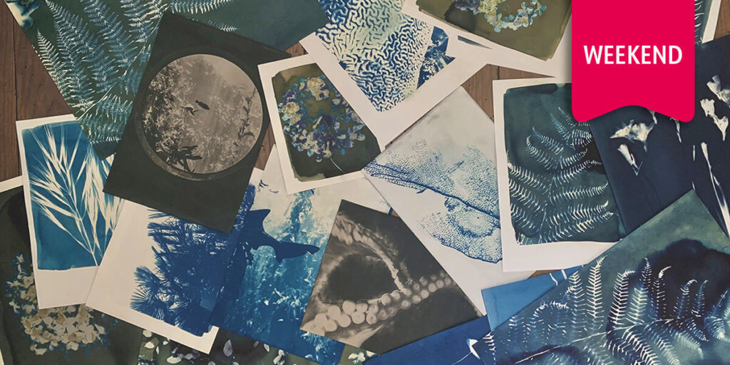 ozart - atelier cyanotype - bayonne - weekend