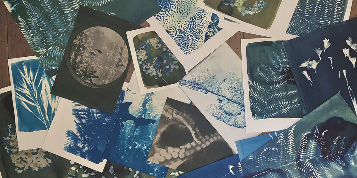 ozart - atelier cyanotype - bayonne