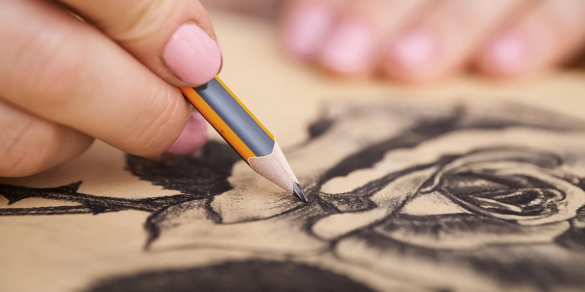 ozart-atelier-les-bases-du-dessin-bayonne