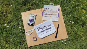 ozart-focus-diy-merci maitresse
